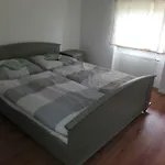 Petrov Grunt Guest house 3*
