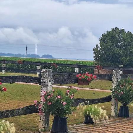 Petrov Grunt Penzión pre hostí 3*